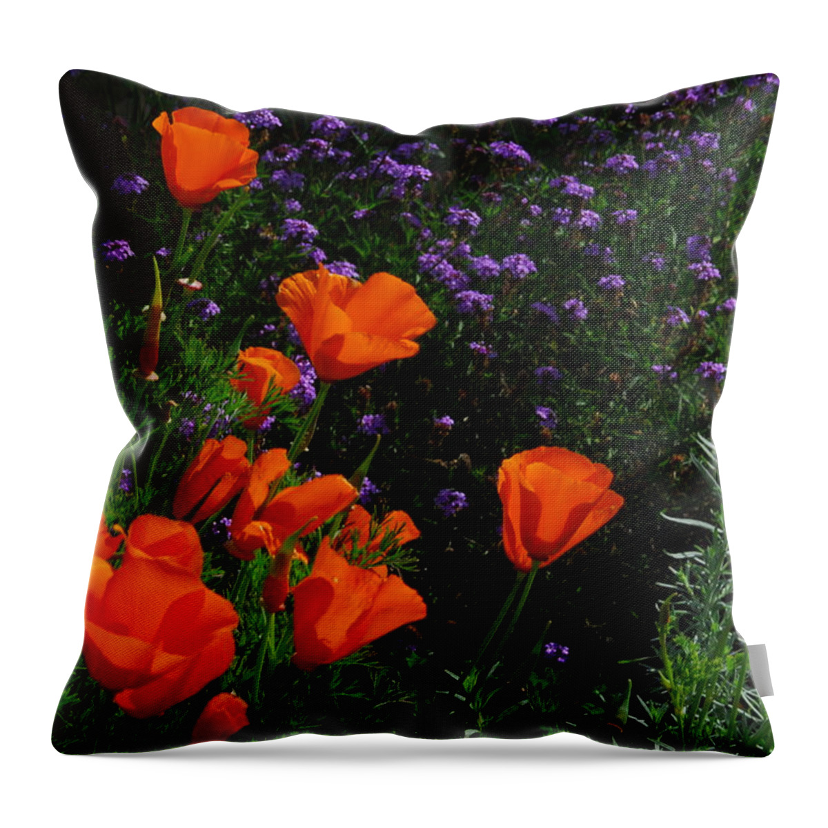 Poppy Throw Pillow featuring the photograph California Poppies #1 by Lynn Bauer