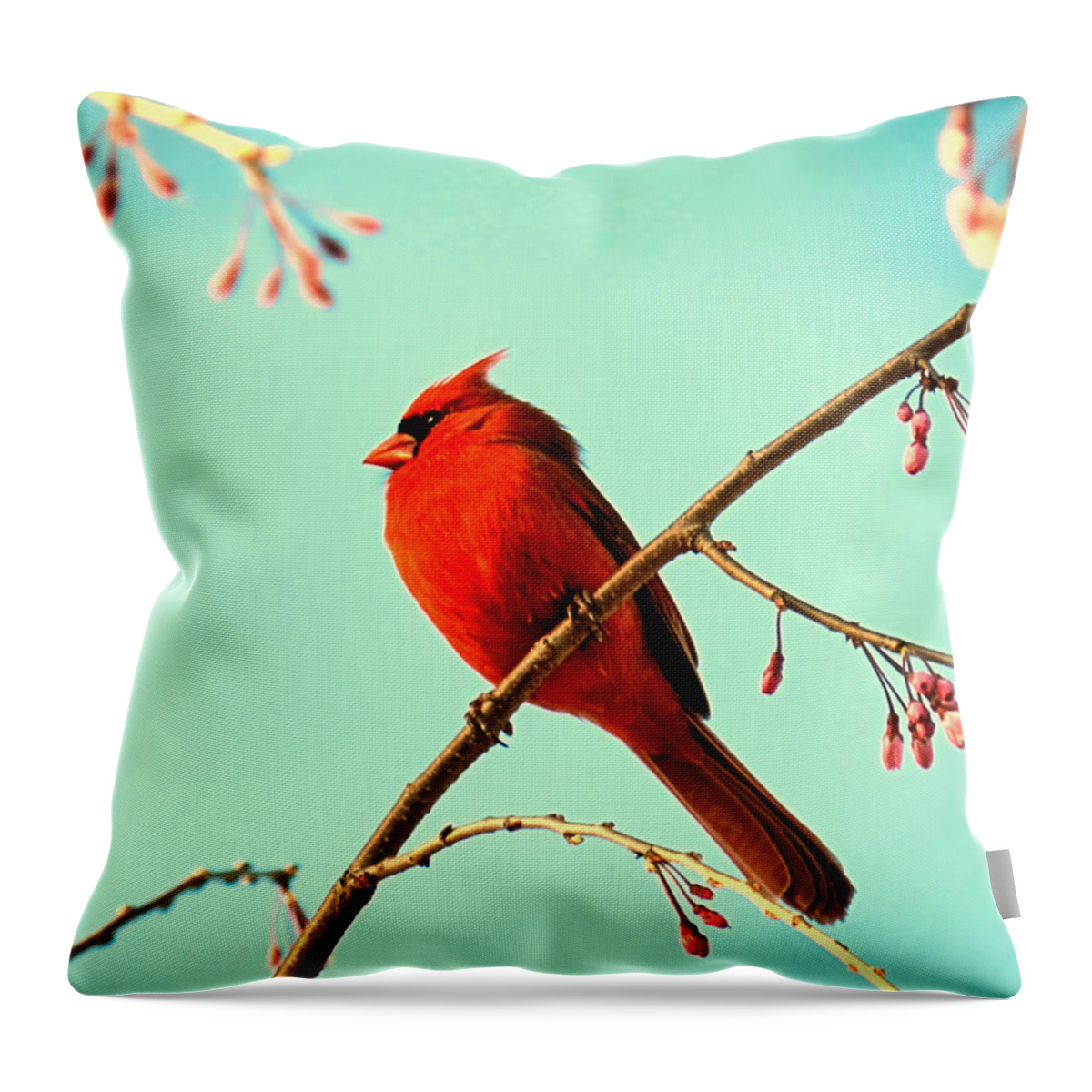 Cardinal Throw Pillow featuring the photograph Cardinal and Cherry Blossoms #1 by Sharon Woerner