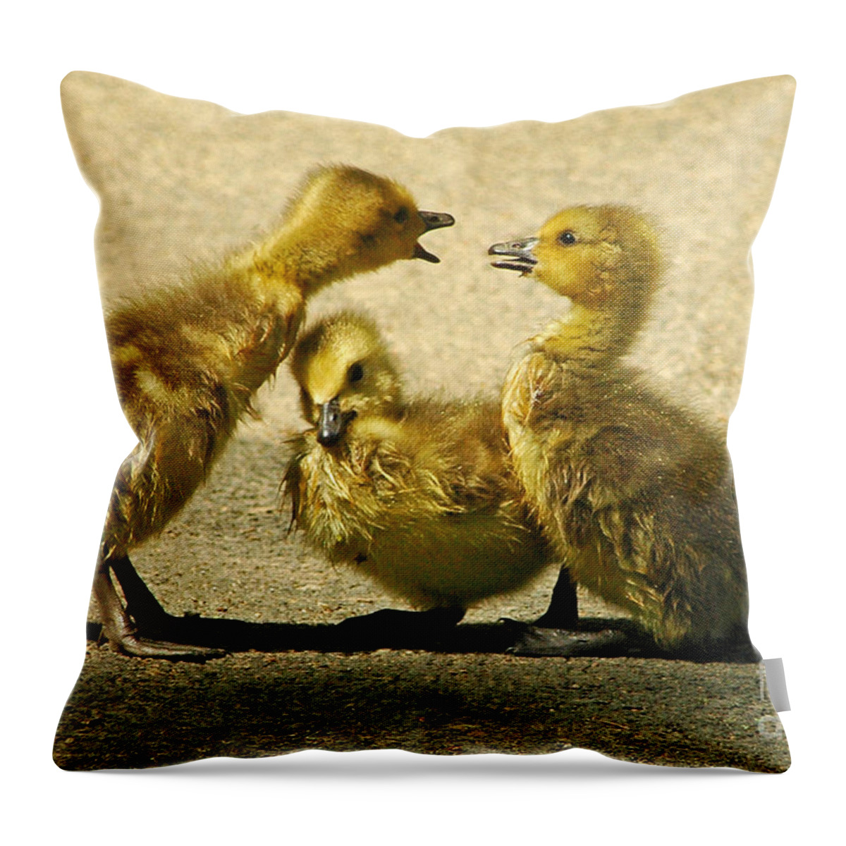 Nature Throw Pillow featuring the photograph Caught in the Middle by Olivia Hardwicke