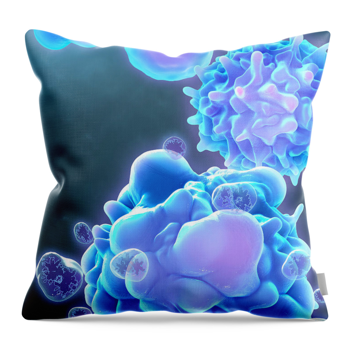 Cellular Throw Pillow featuring the photograph Cell Life Cycle #1 by Evan Oto