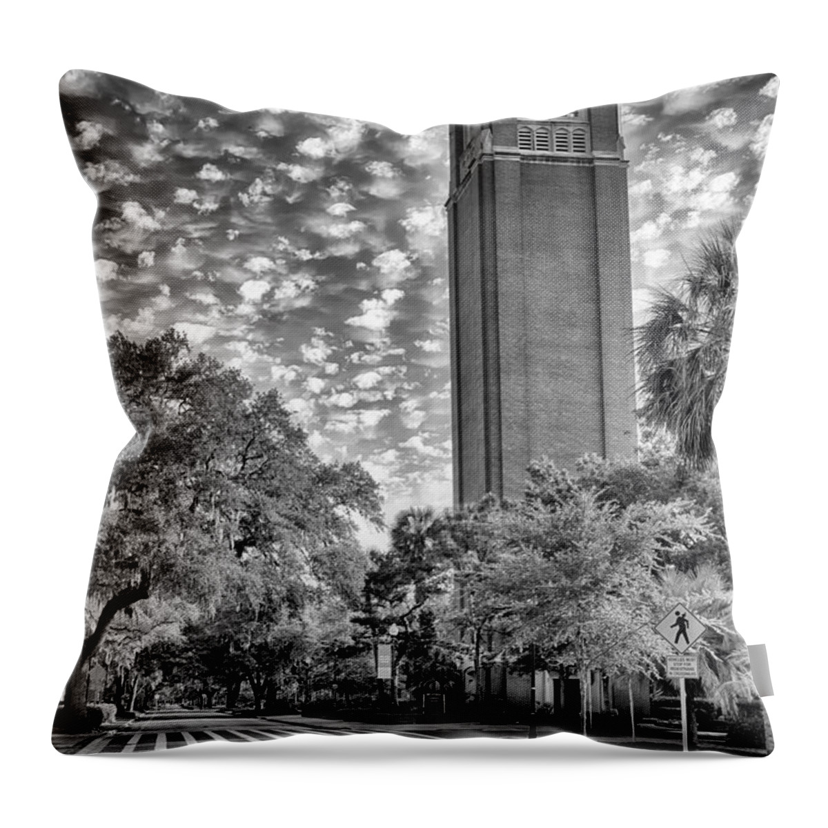 University Of Florida Throw Pillow featuring the photograph Century Tower #2 by Howard Salmon