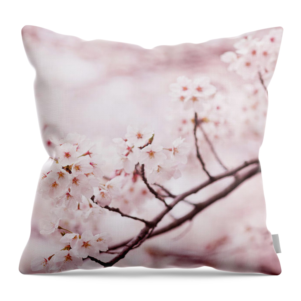 Scenics Throw Pillow featuring the photograph Cherry Blossoms #1 by Ooyoo