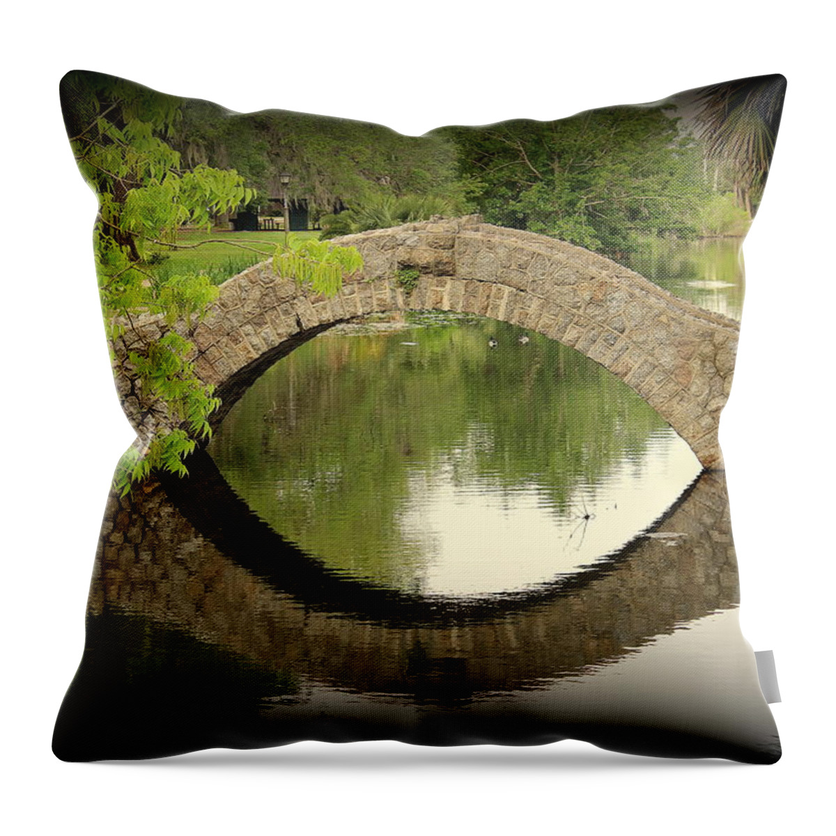 City Park Throw Pillow featuring the photograph City Park #1 by Beth Vincent
