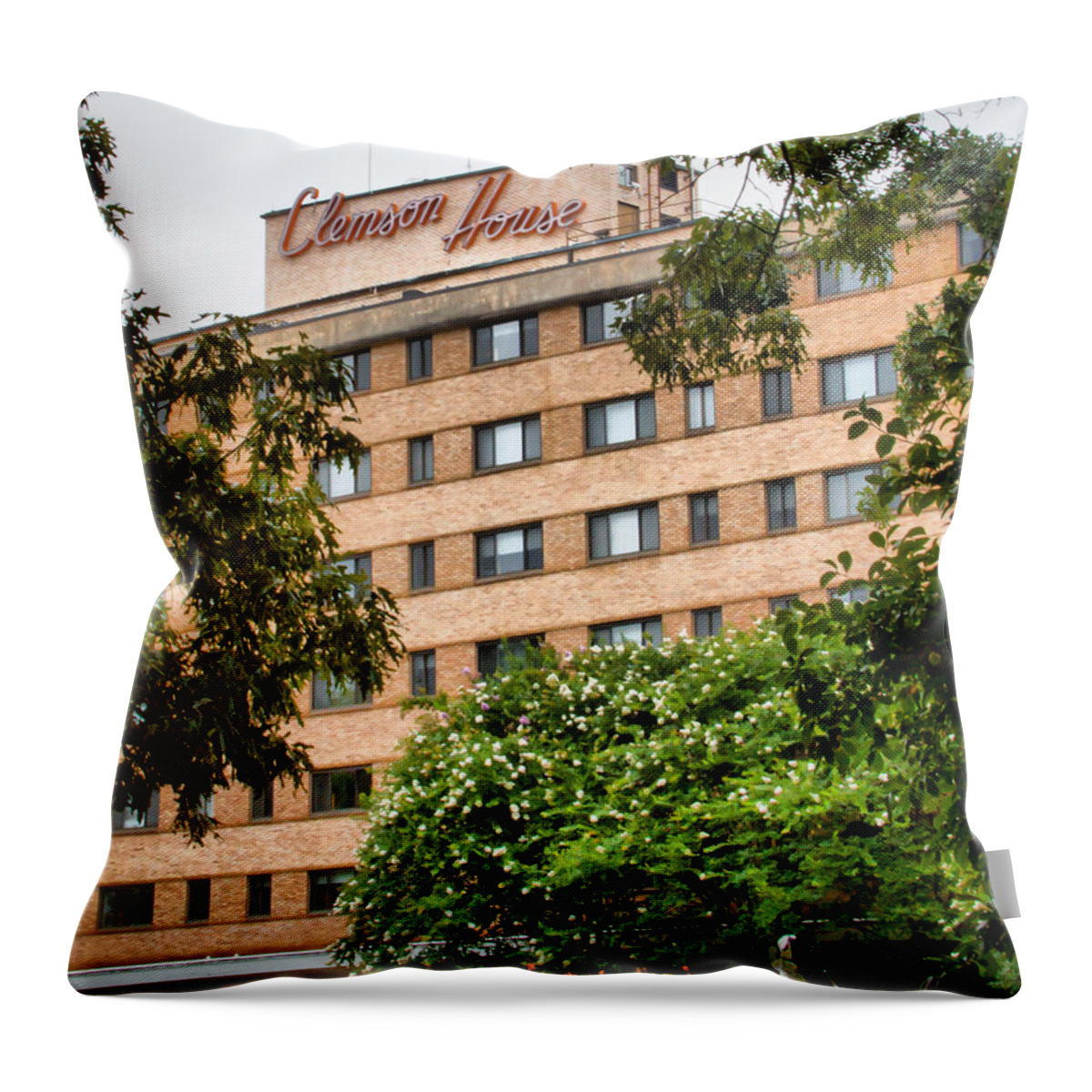 Clemson Throw Pillow featuring the photograph Clemson House #1 by Lynne Jenkins