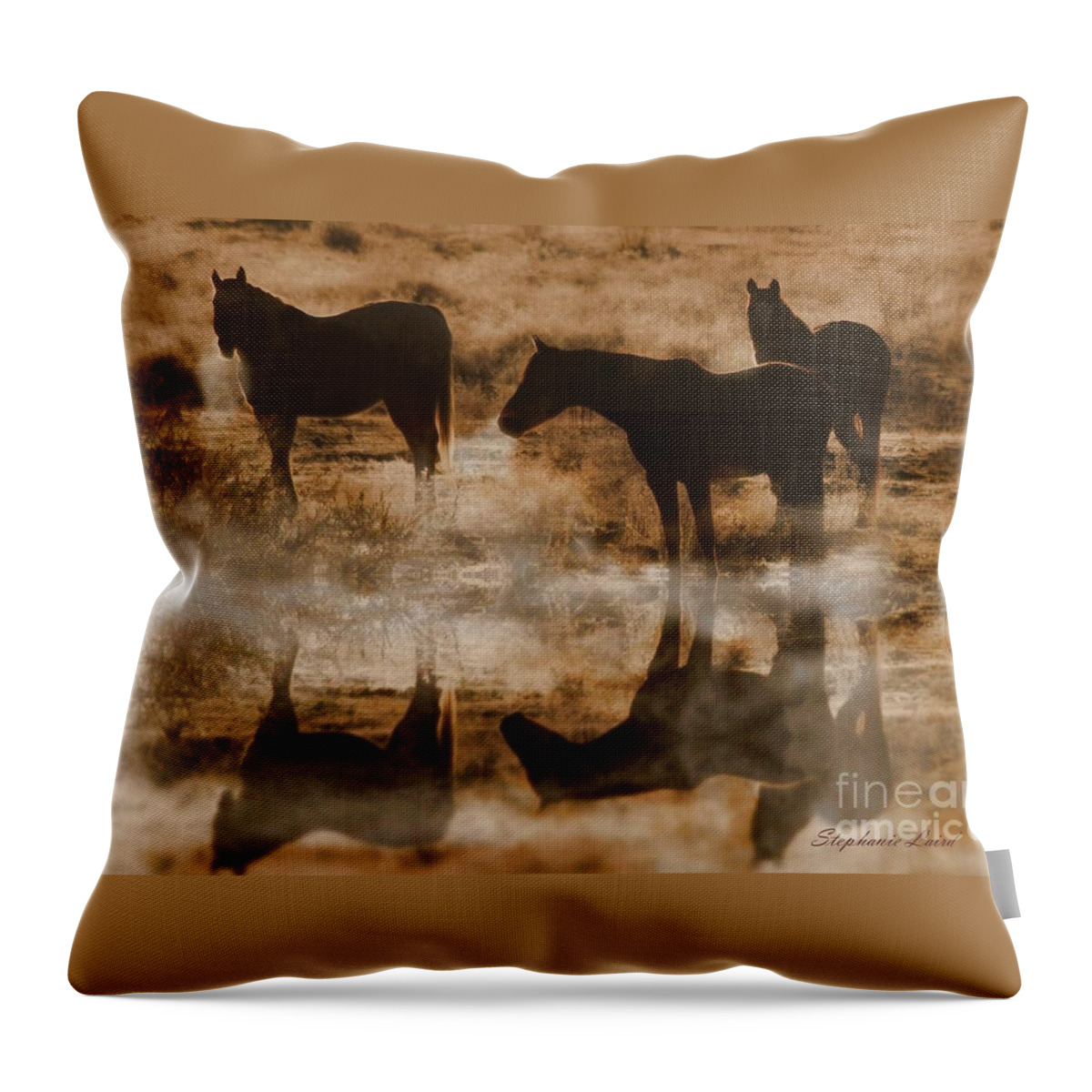Equine Throw Pillow featuring the photograph Cold Morning by Stephanie Laird