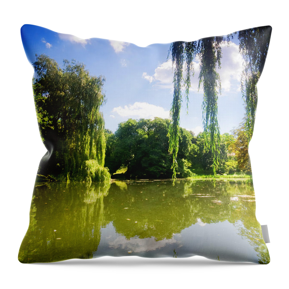 Area Throw Pillow featuring the photograph Colorful autumn summer park #1 by Michal Bednarek