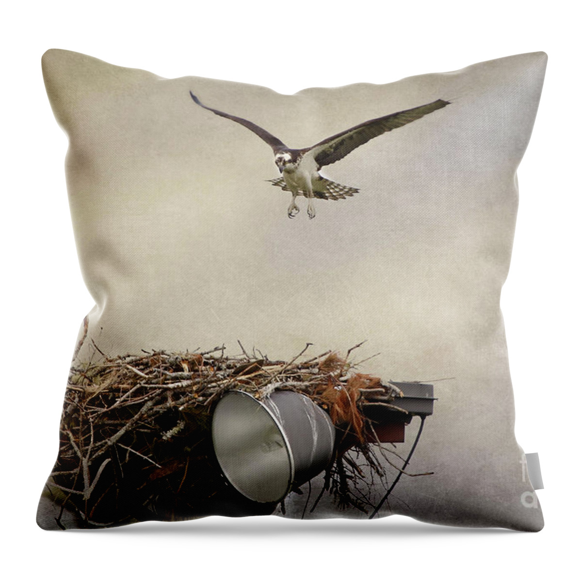 Maine Throw Pillow featuring the photograph Coming In by Karin Pinkham