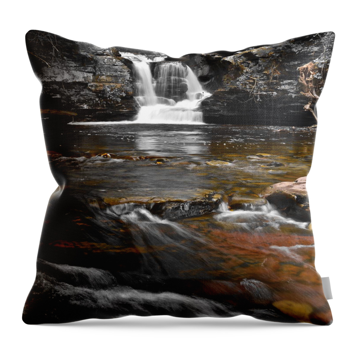 Color Throw Pillow featuring the photograph Coming to Life #1 by Frozen in Time Fine Art Photography