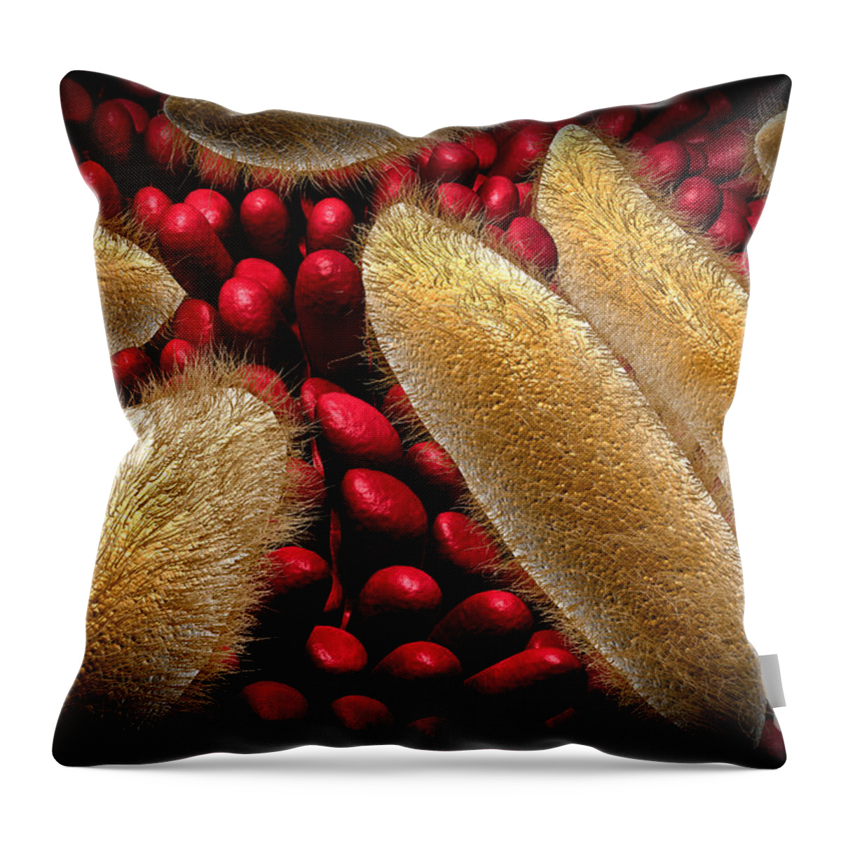 Red Throw Pillow featuring the digital art Conceptual Image Of Paramecium #1 by Stocktrek Images