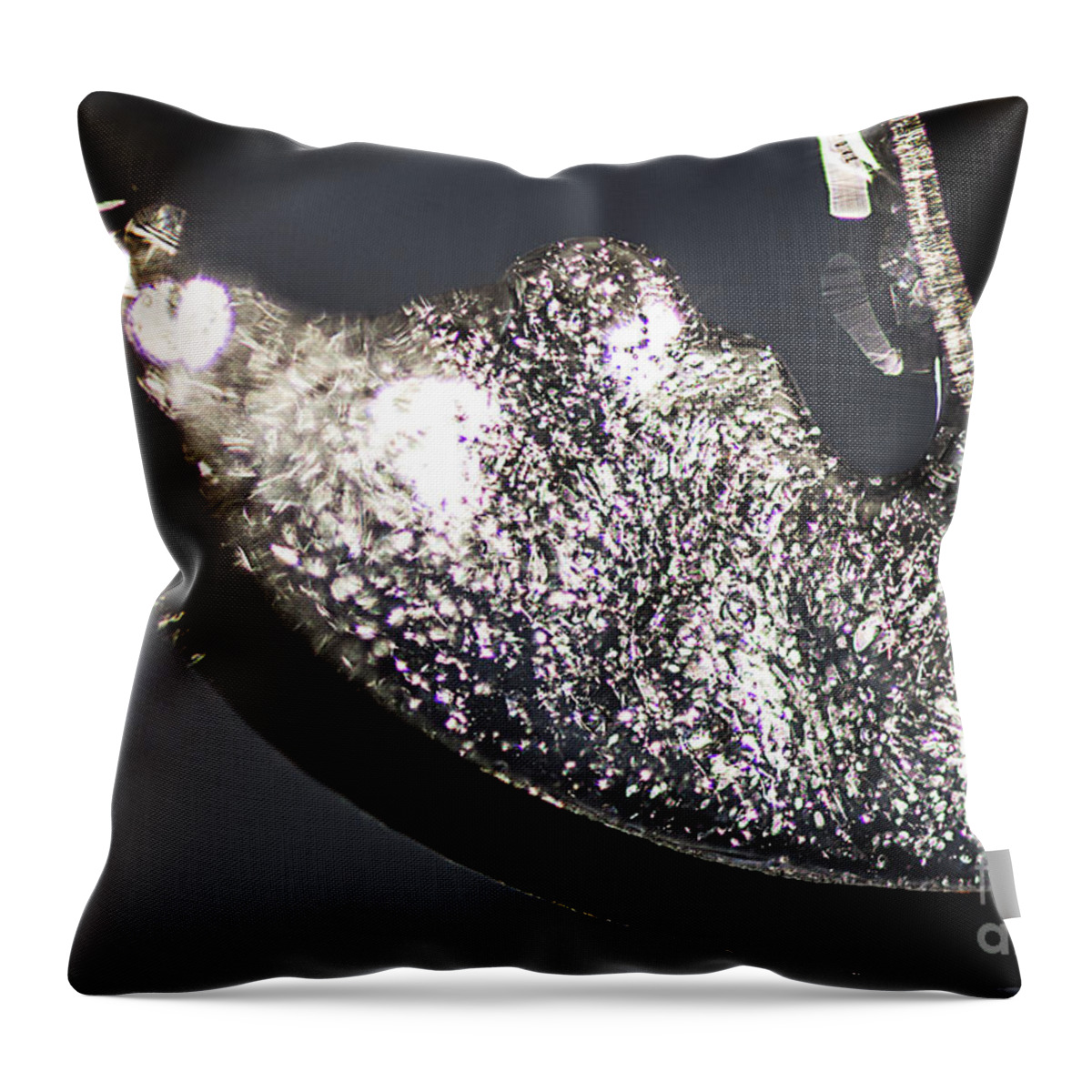 Ice Throw Pillow featuring the photograph Cool Ice Formation #1 by JT Lewis