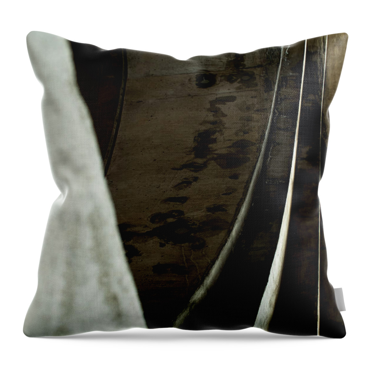 Abstract Throw Pillow featuring the photograph Curves #1 by Fran Riley