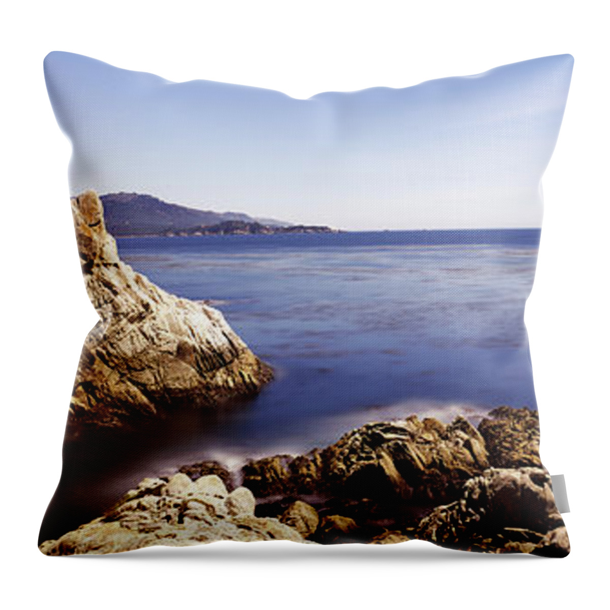 Photography Throw Pillow featuring the photograph Cypress Tree At The Coast, The Lone #1 by Panoramic Images