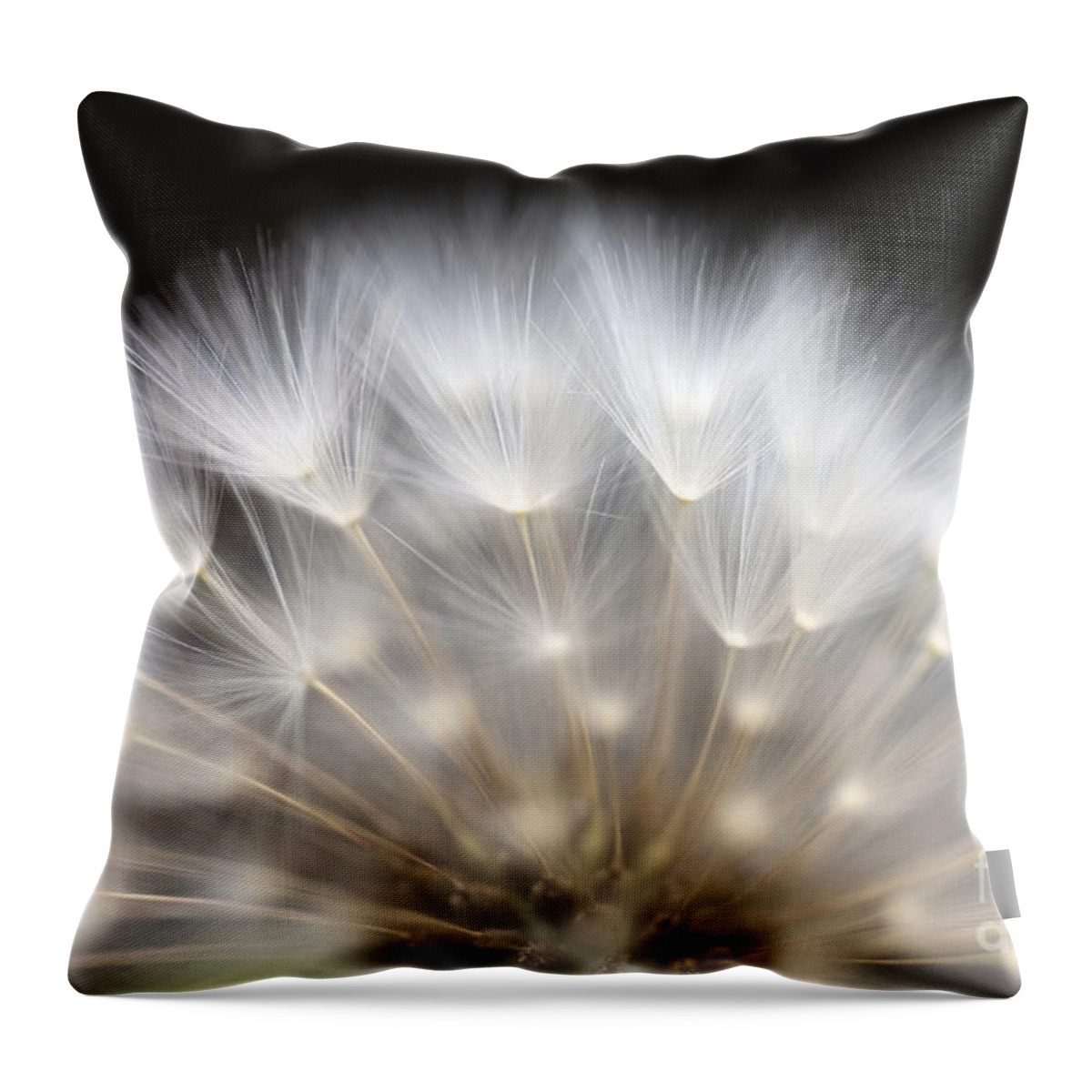 Dandelion Throw Pillow featuring the photograph Dandelion #1 by Jim Corwin