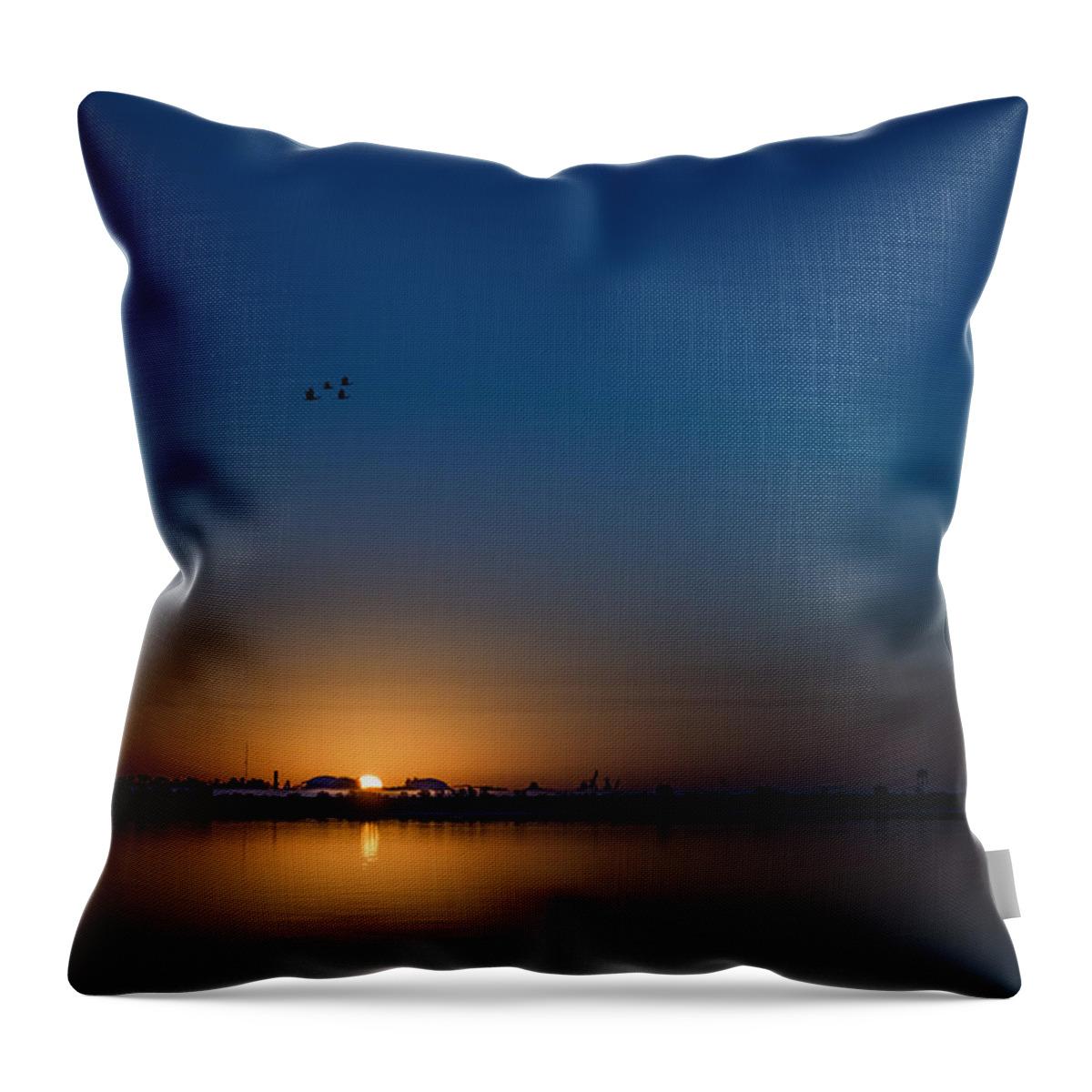 Landscape Throw Pillow featuring the photograph Dawn #1 by Maria Coulson