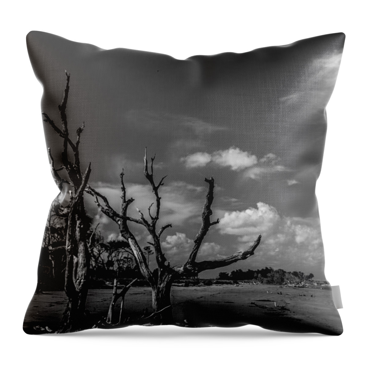 Dead Throw Pillow featuring the photograph Dead Trees on the Beach #1 by Christopher Perez