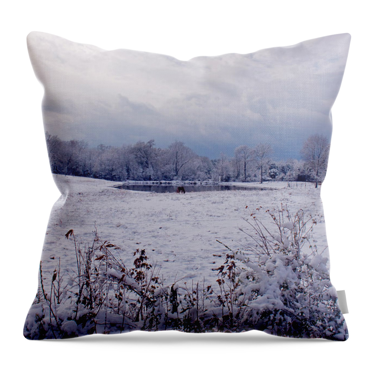 Snow Throw Pillow featuring the photograph December Snow 005 by Andy Lawless