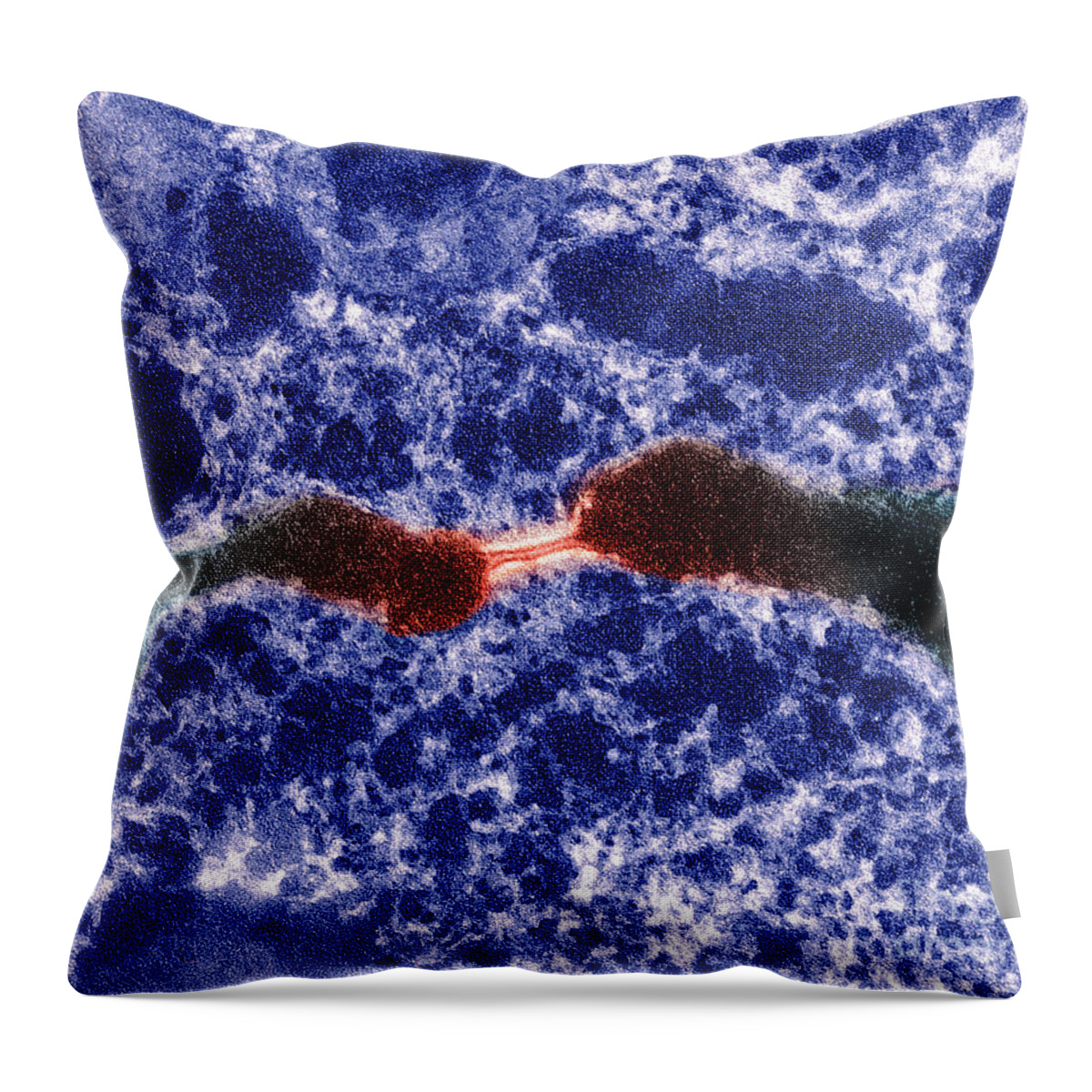 Desmosome Throw Pillow featuring the photograph Desmosome #1 by Stem Jems