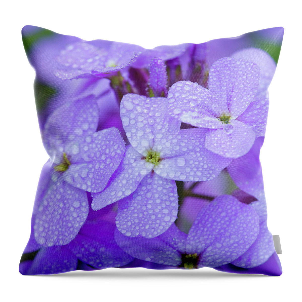 American Garden Throw Pillow featuring the photograph Dew On Phlox #1 by Michael Lustbader