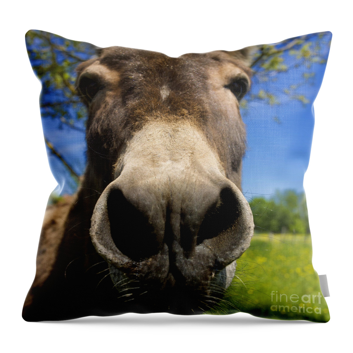 World Throw Pillow featuring the photograph Donkey #1 by Bernard Jaubert