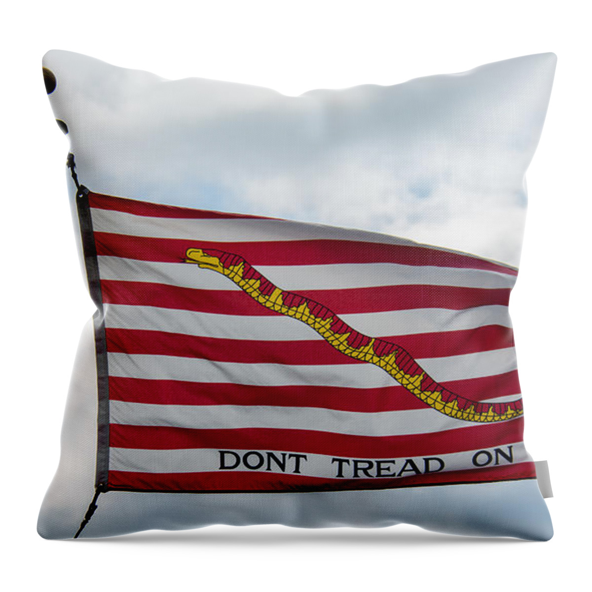 Don't Tread On Me Throw Pillow featuring the photograph Don't Tread On me #2 by Guy Whiteley