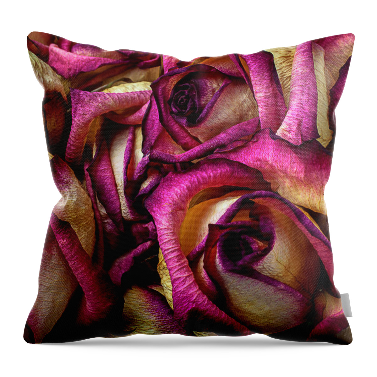 Purple Throw Pillow featuring the photograph Dried Pink And White Roses #1 by Garry Gay