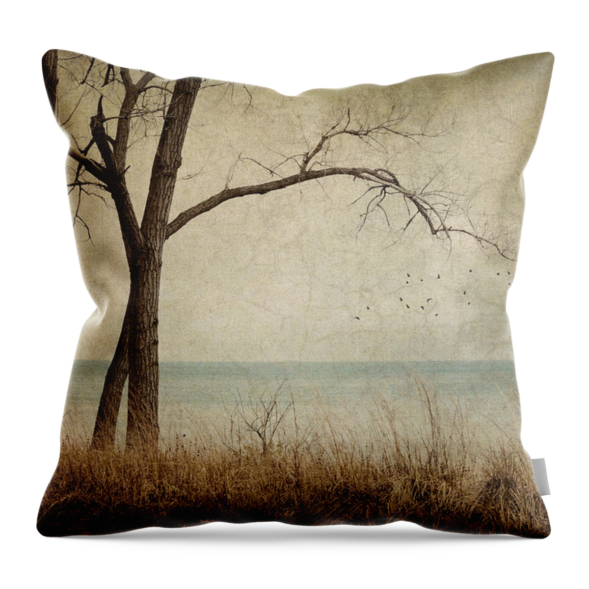 Landscape Throw Pillow featuring the photograph Drifting by Amy Weiss