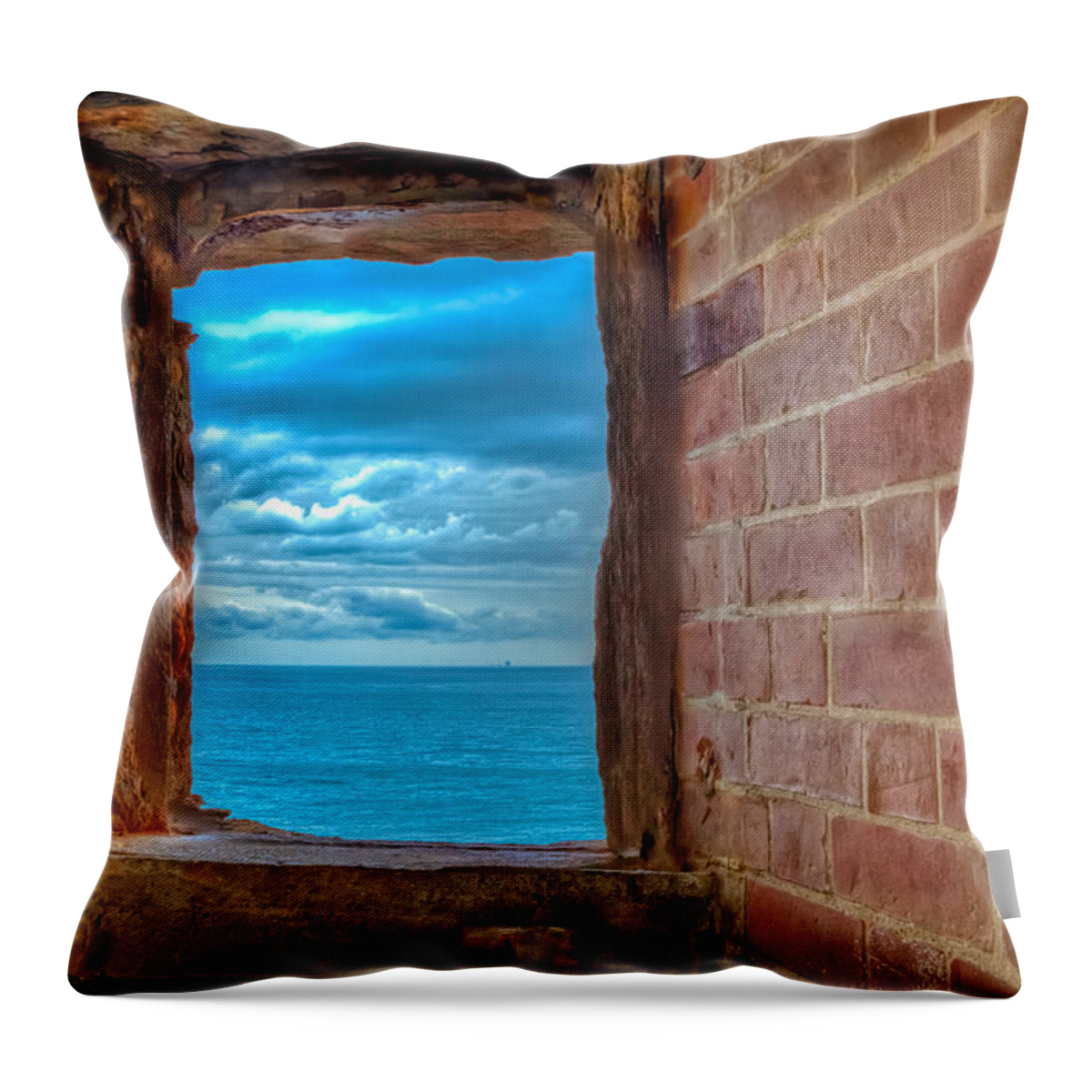 Landscape Throw Pillow featuring the photograph Drifting by Jonathan Nguyen
