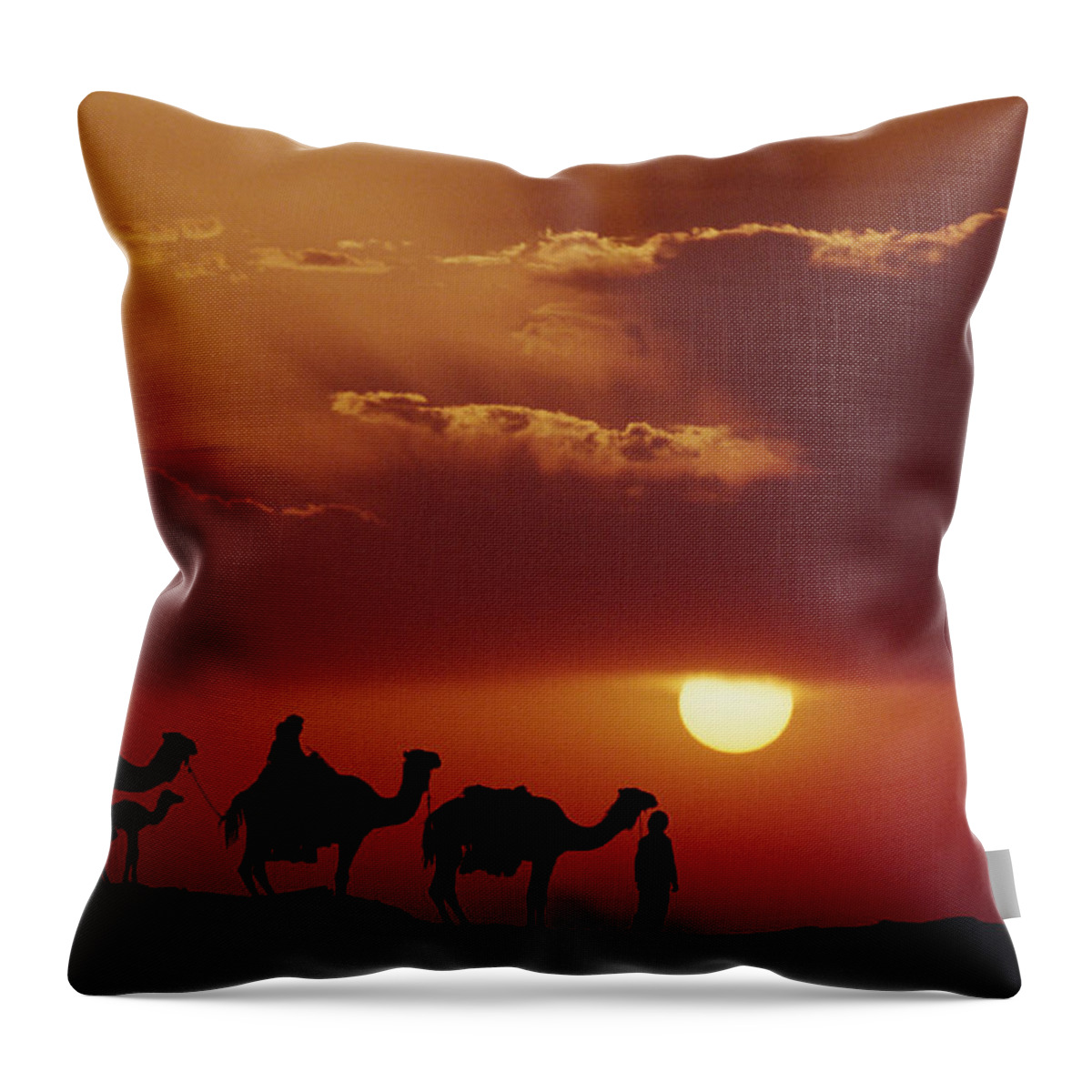 Feb0514 Throw Pillow featuring the photograph Dromedary Camels And Bedouins Sahara #1 by Gerry Ellis