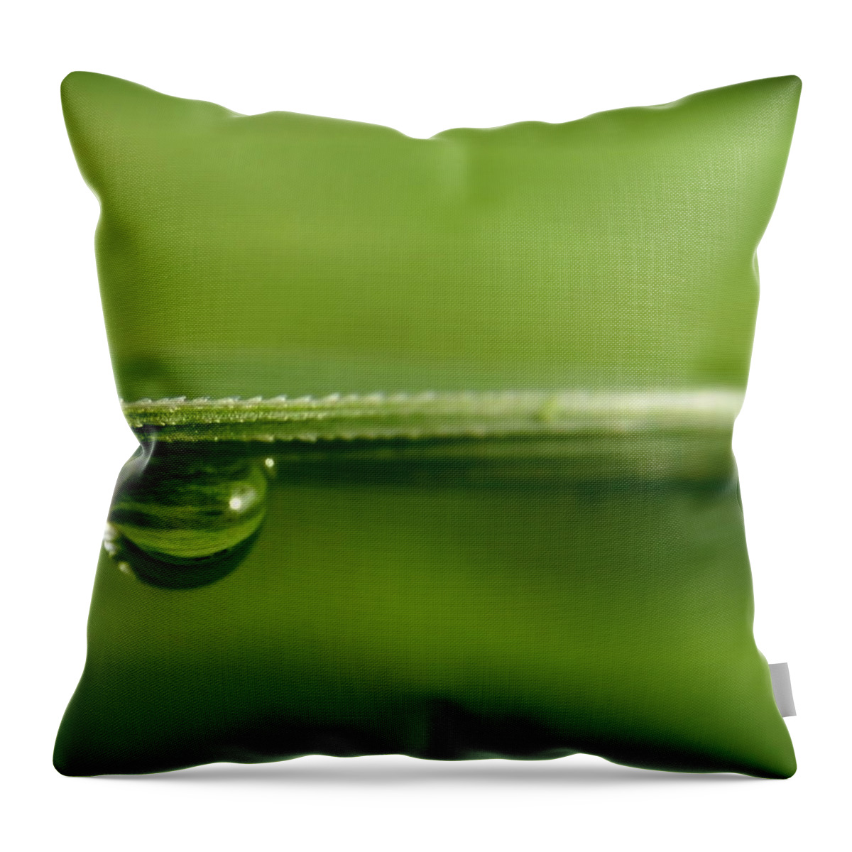 Drops Throw Pillow featuring the photograph Drops #1 by Heike Hultsch