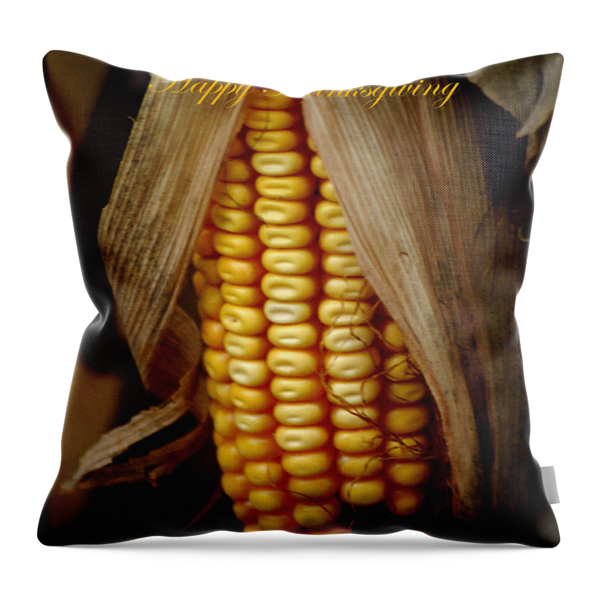 Dried Corn Throw Pillow featuring the photograph Dry Corn Husk #1 by Living Color Photography Lorraine Lynch