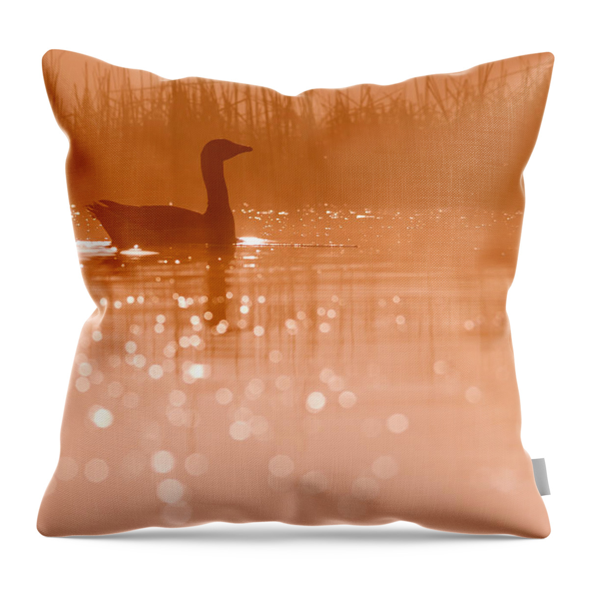 Greylag Goose (anser Anser) At A Very Early Throw Pillow featuring the photograph Early Morning Magic #1 by Roeselien Raimond