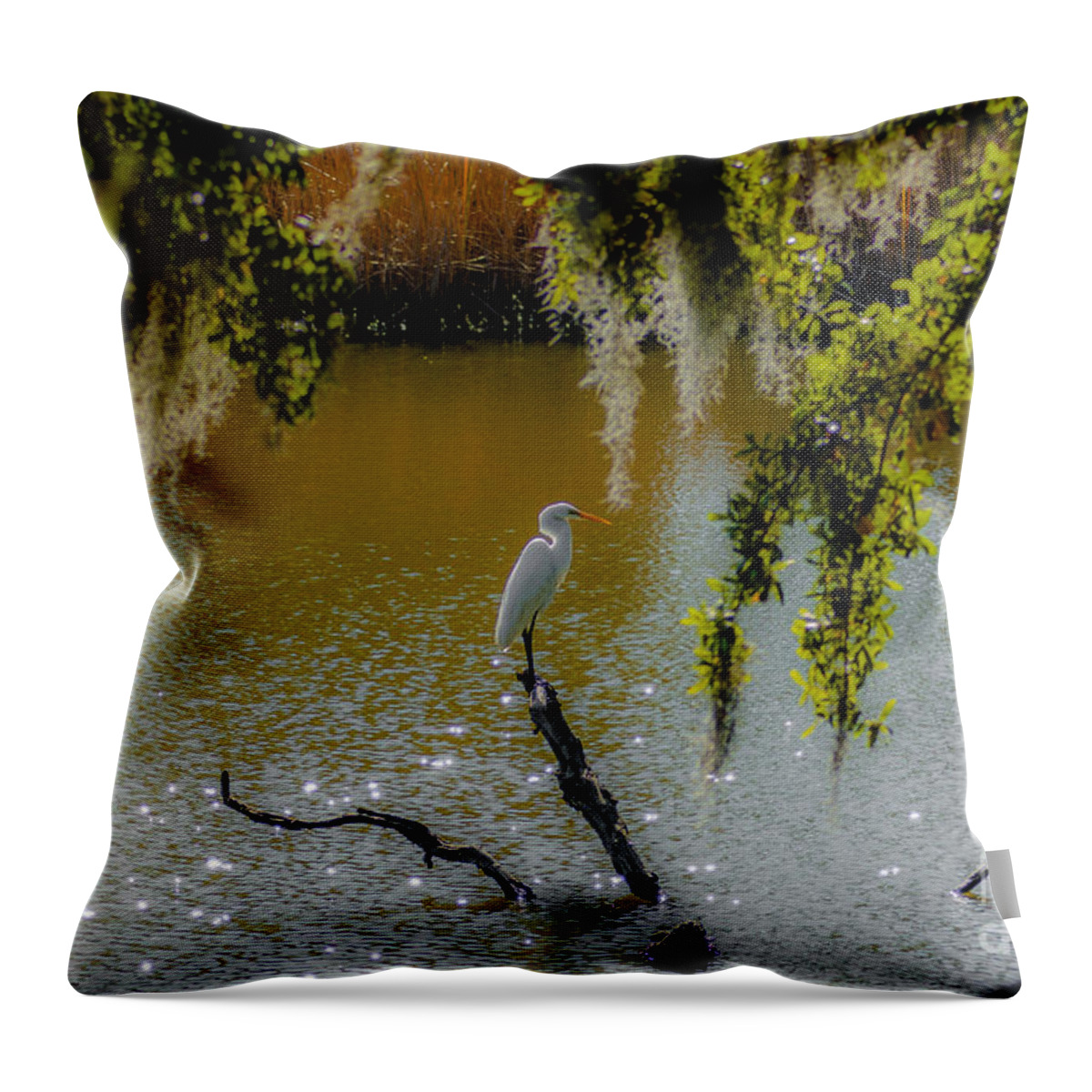White Heron Throw Pillow featuring the photograph Egret #1 by Dale Powell