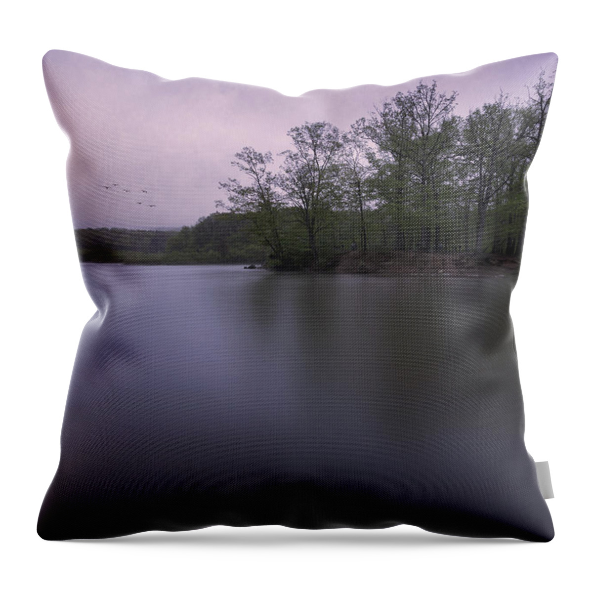 Hinckley Lake Throw Pillow featuring the photograph Emerging Light #1 by Dale Kincaid