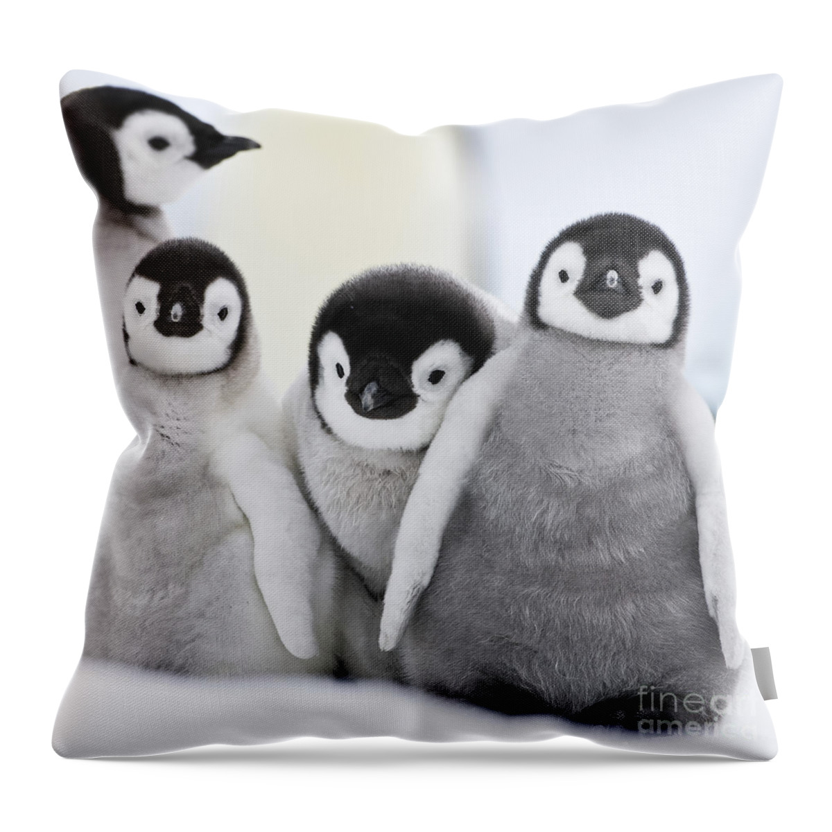Emperor Penguin Throw Pillow featuring the photograph Emperor Penguin Chicks #1 by Jean-Louis Klein and Marie-Luce Hubert