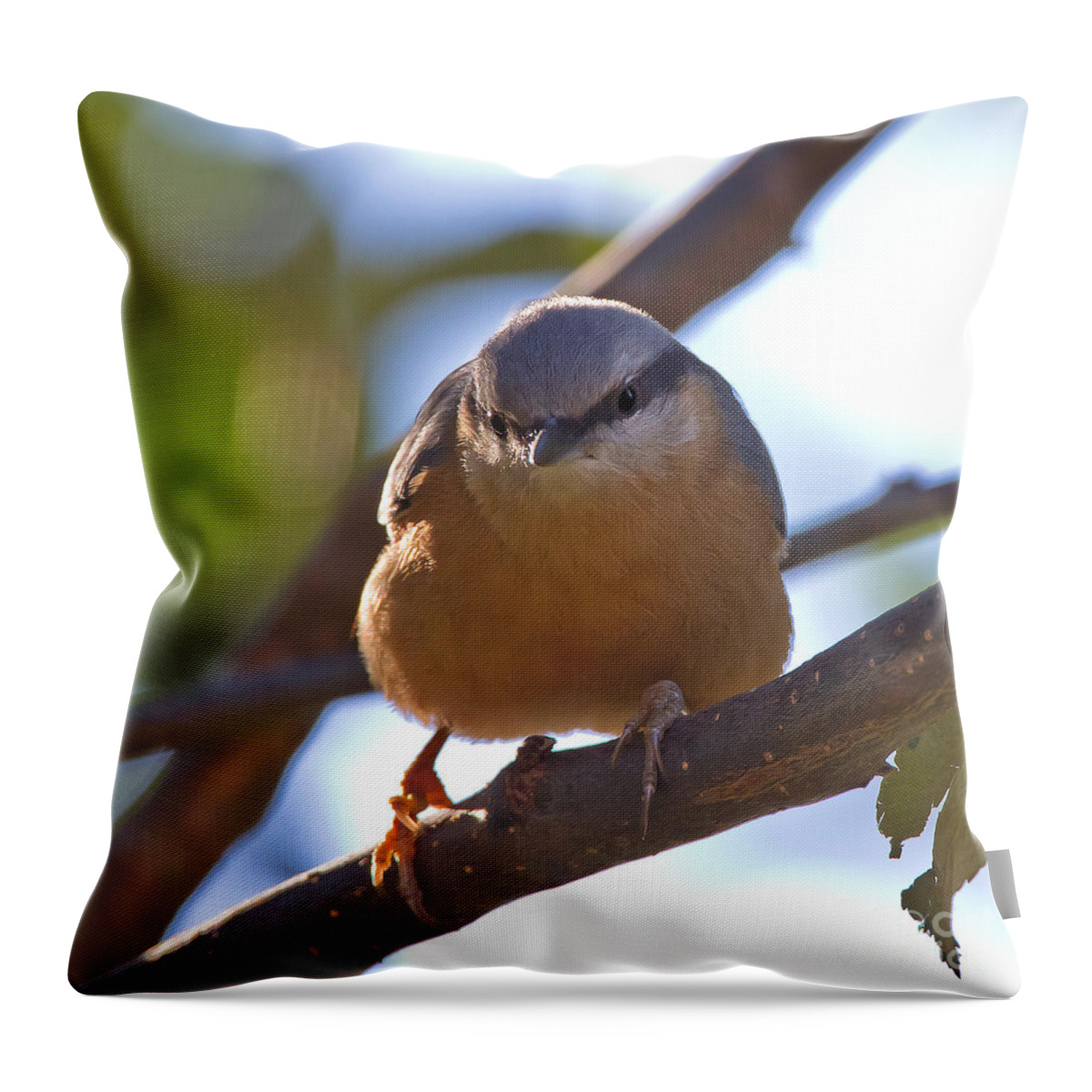 Bird Throw Pillow featuring the photograph Eurasian Nuthatch #3 by Jean-Luc Baron