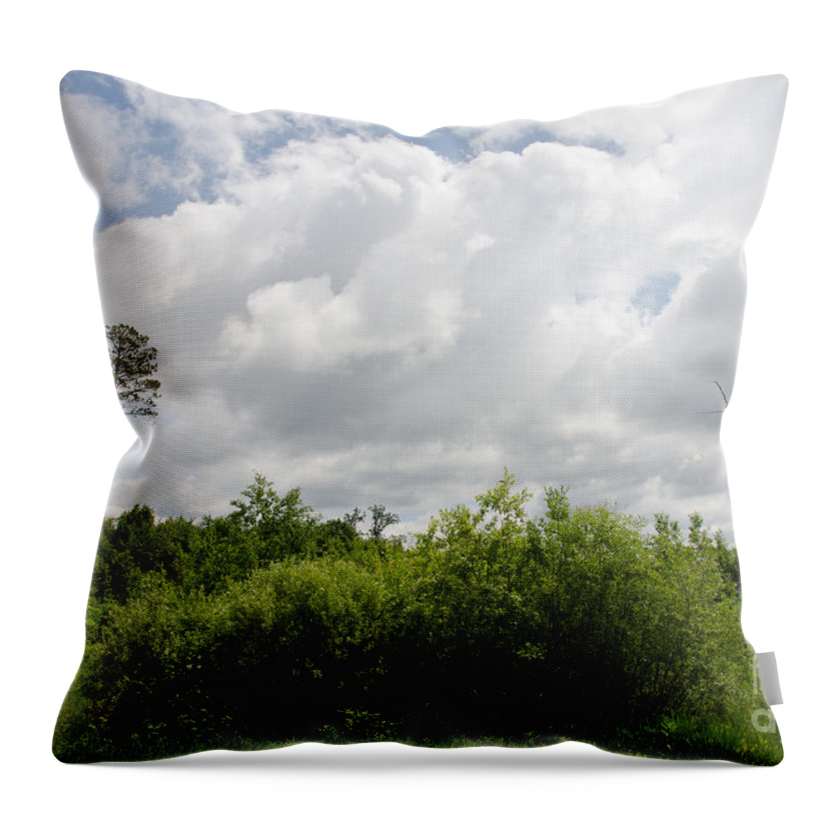 Tamarac Throw Pillow featuring the photograph Falcon Nest 3 #1 by Cassie Marie Photography