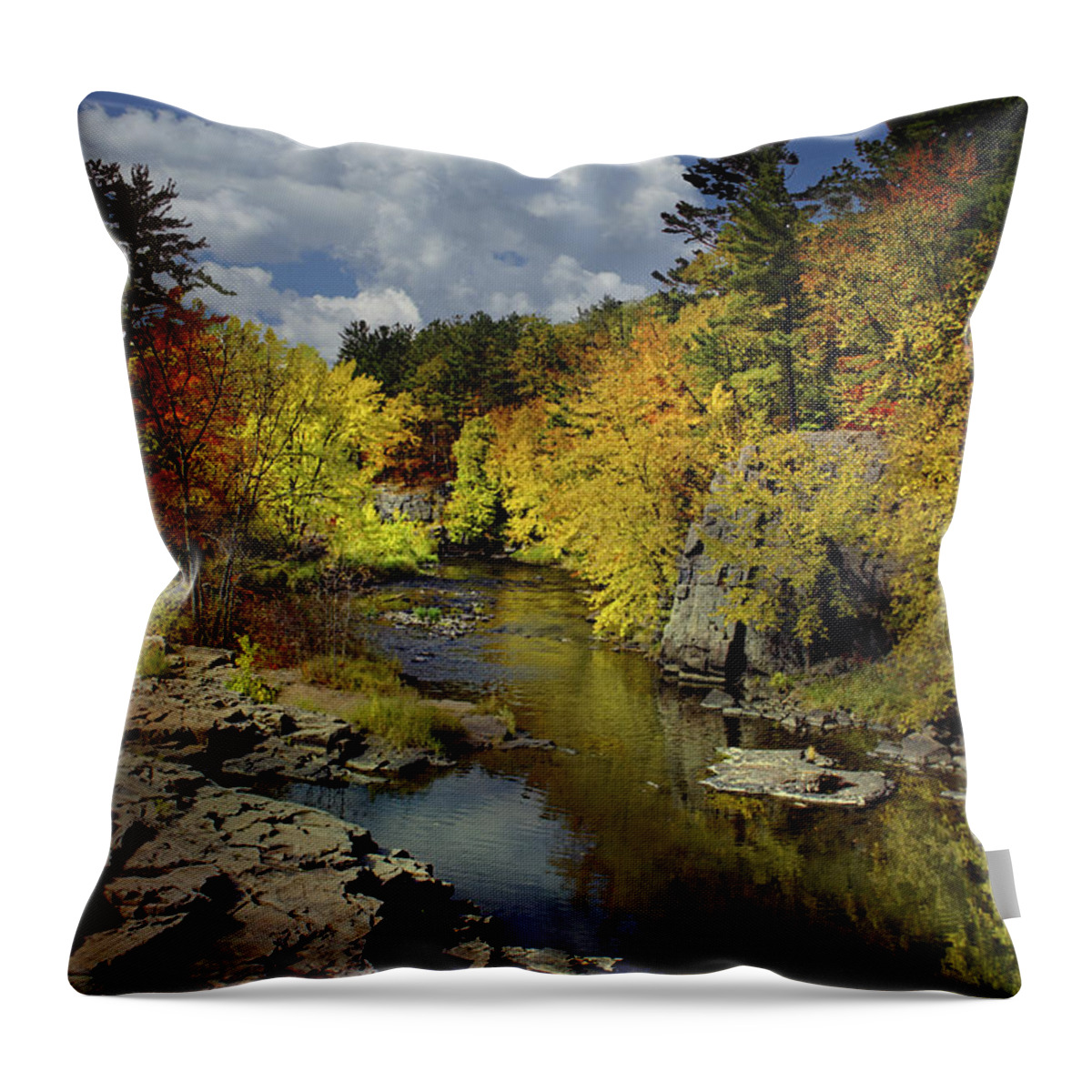 Autumn Throw Pillow featuring the photograph Fall at the Eau Claire Dells #1 by Judy Johnson