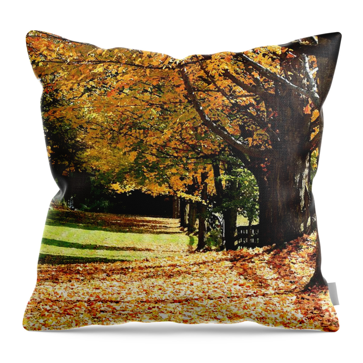 Mccombie Throw Pillow featuring the painting Fall Foliage #1 by J McCombie