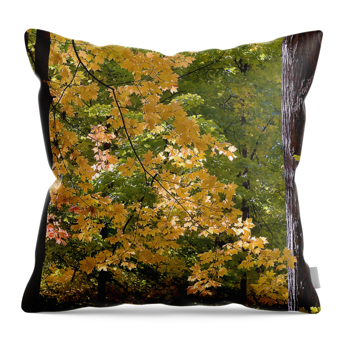 Autumn Throw Pillow featuring the photograph Fall Maples #1 by Steven Ralser
