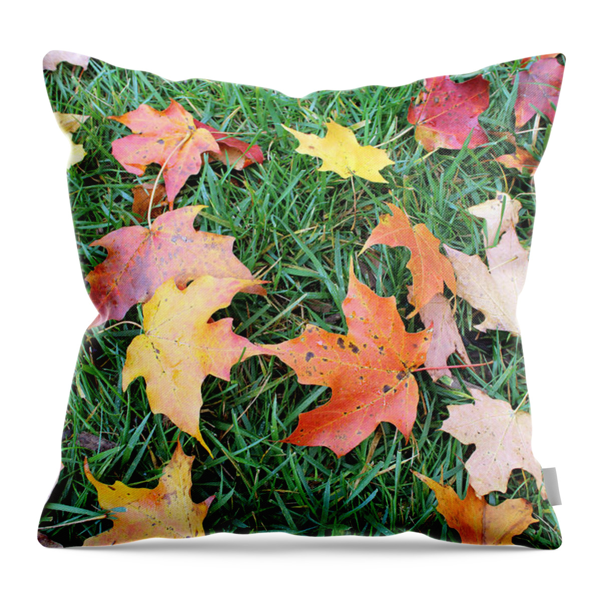 Leaves Throw Pillow featuring the photograph Fallen Leaves #1 by Mary Haber