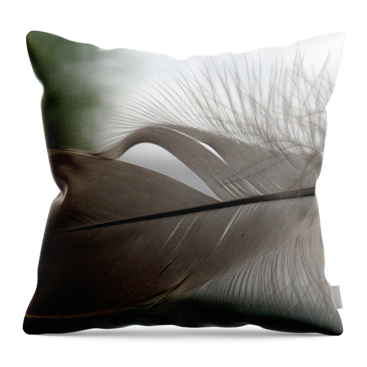 Feather Throw Pillow featuring the photograph Feather #1 by Valerie Collins