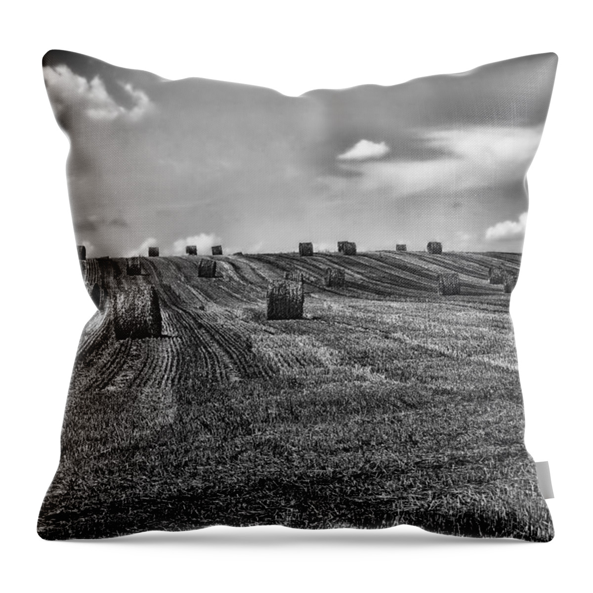 Sky Throw Pillow featuring the photograph Fields of Summer #1 by Mountain Dreams