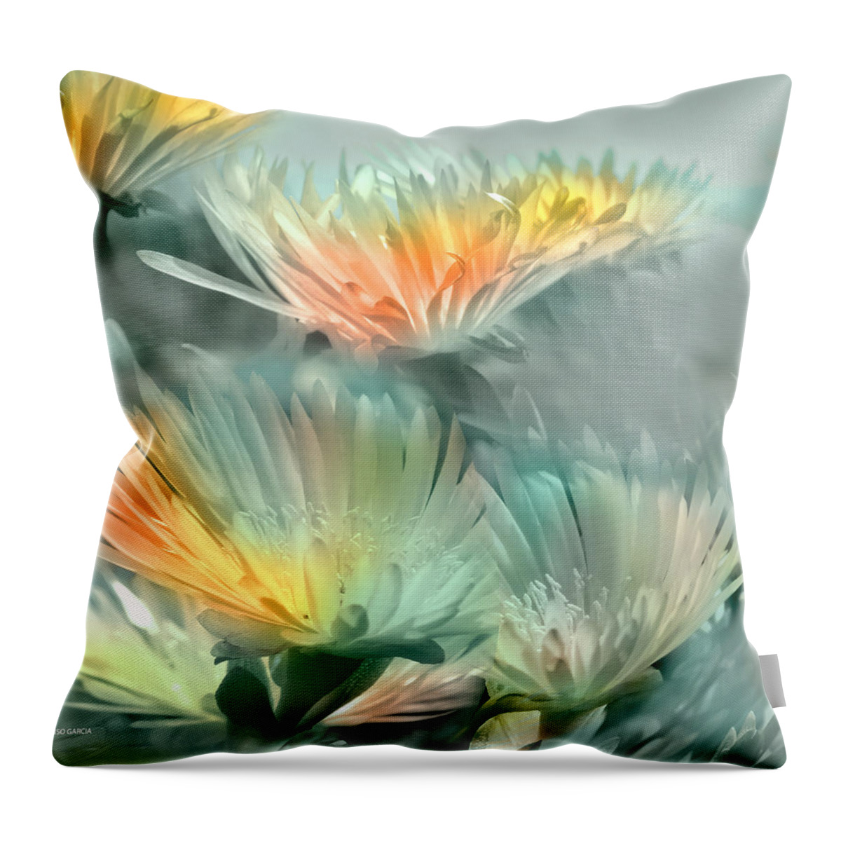 Flowers Photos Throw Pillow featuring the photograph Fiesta Floral #2 by Alfonso Garcia