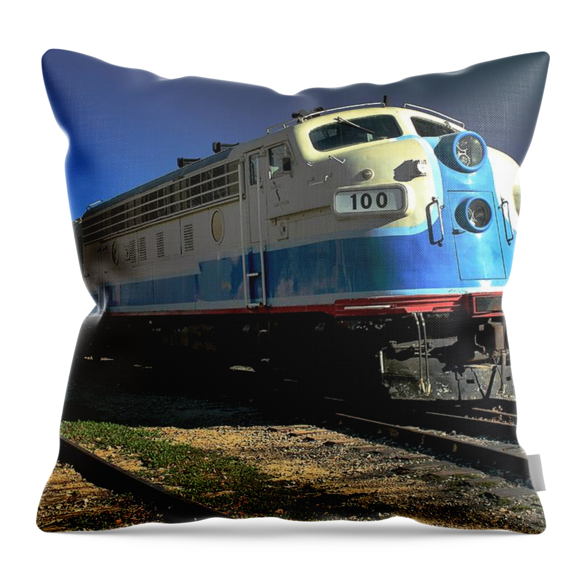 Fillmore Throw Pillow featuring the photograph Fillmore 100 by Michael Gordon