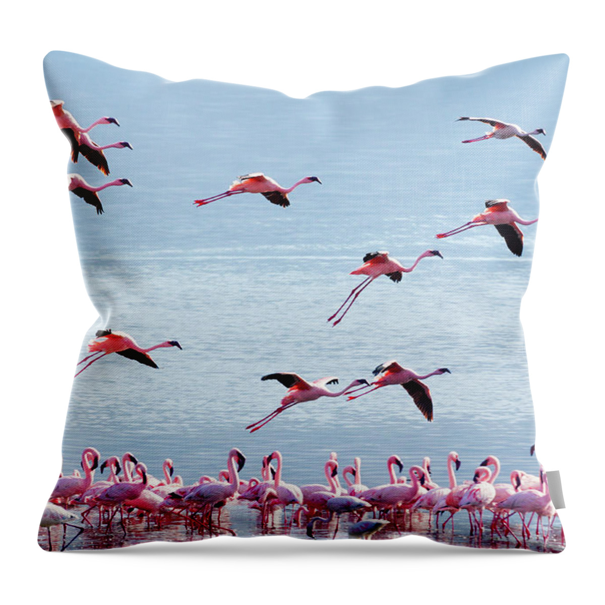 Kenya Throw Pillow featuring the photograph Flying Flamingo #1 by Ivanmateev