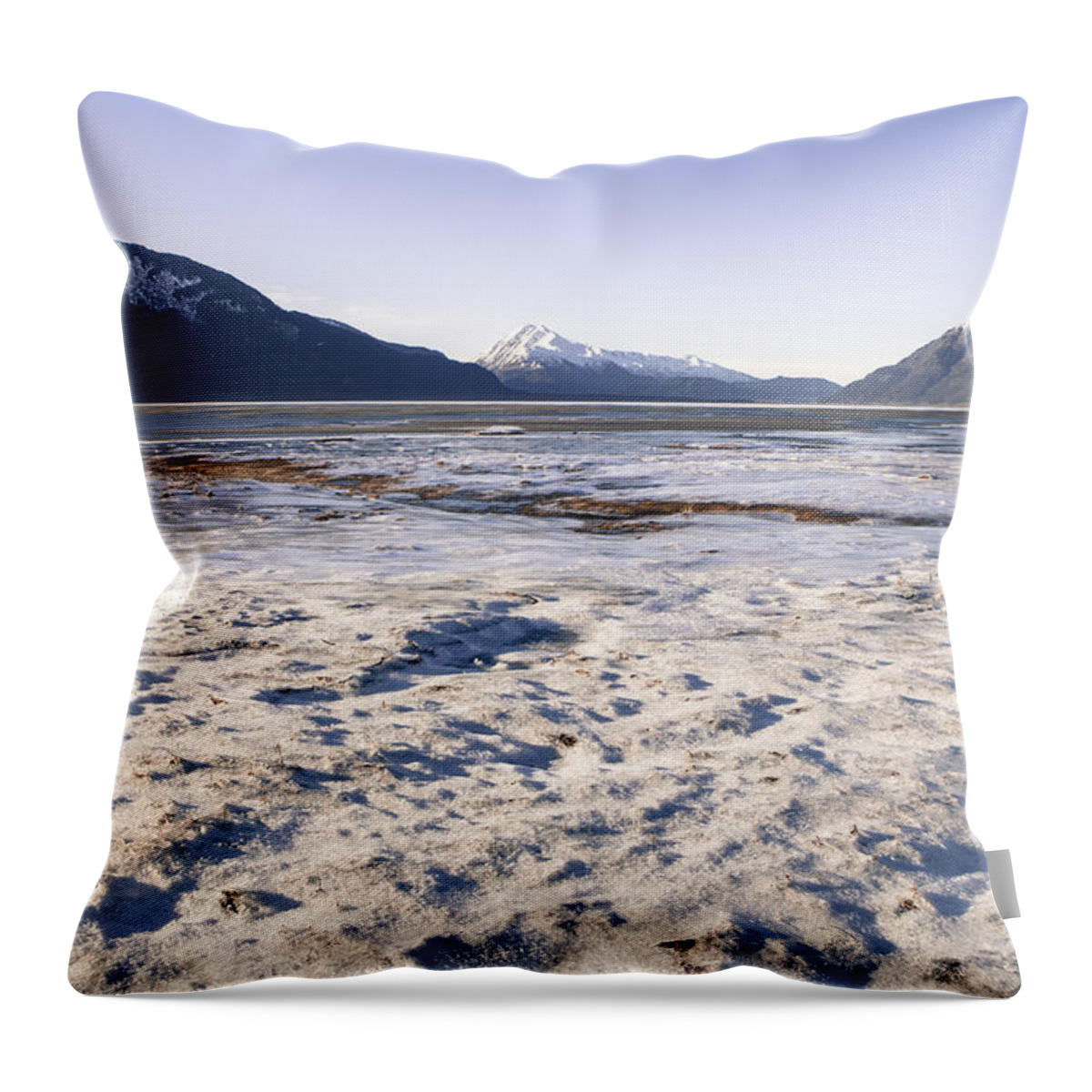 Alaska Throw Pillow featuring the photograph Frosty Alaskan Beach #1 by Michele Cornelius