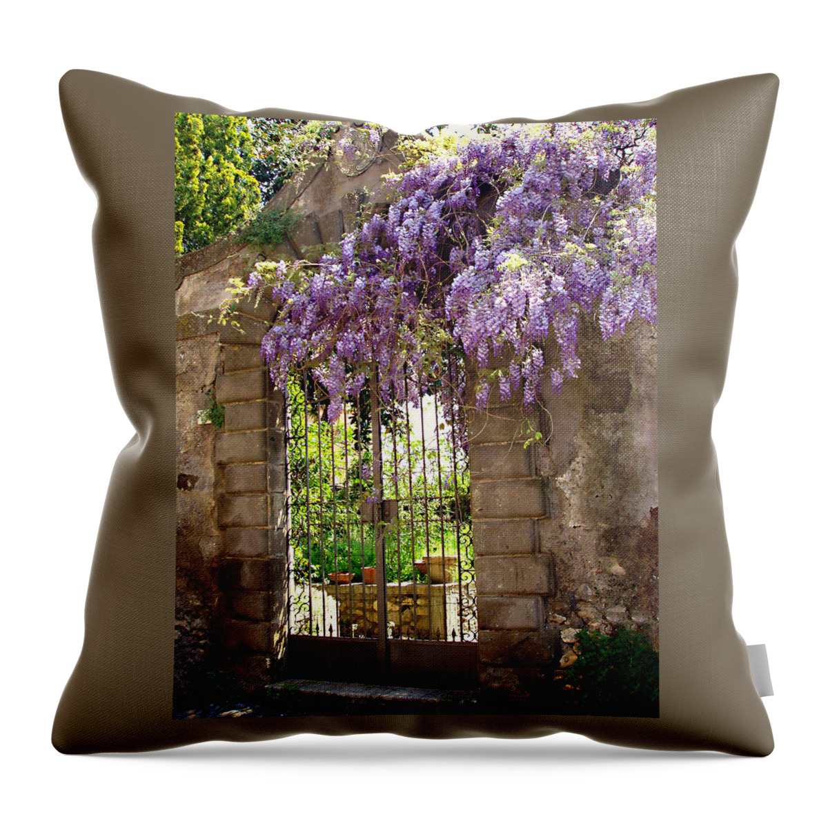 Garden Gate Throw Pillow featuring the photograph Garden Gate by Ellen Henneke