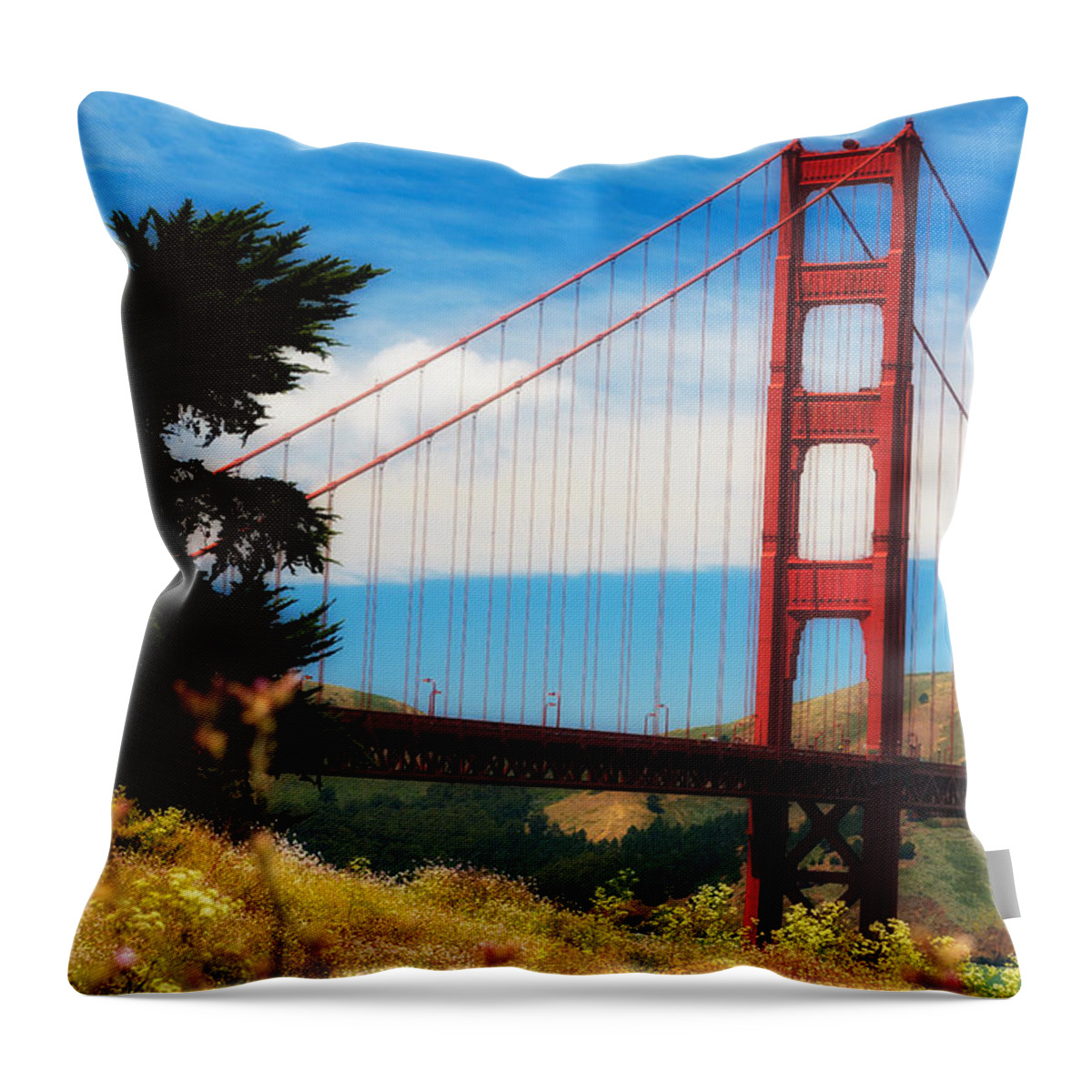 Architecture Throw Pillow featuring the photograph Golden Gate Bridge #1 by Raul Rodriguez