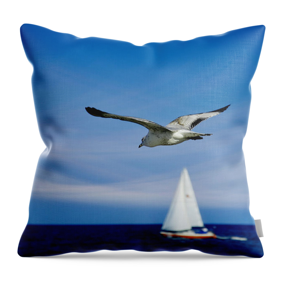 Seagull Throw Pillow featuring the photograph Good Karma by Laura Fasulo