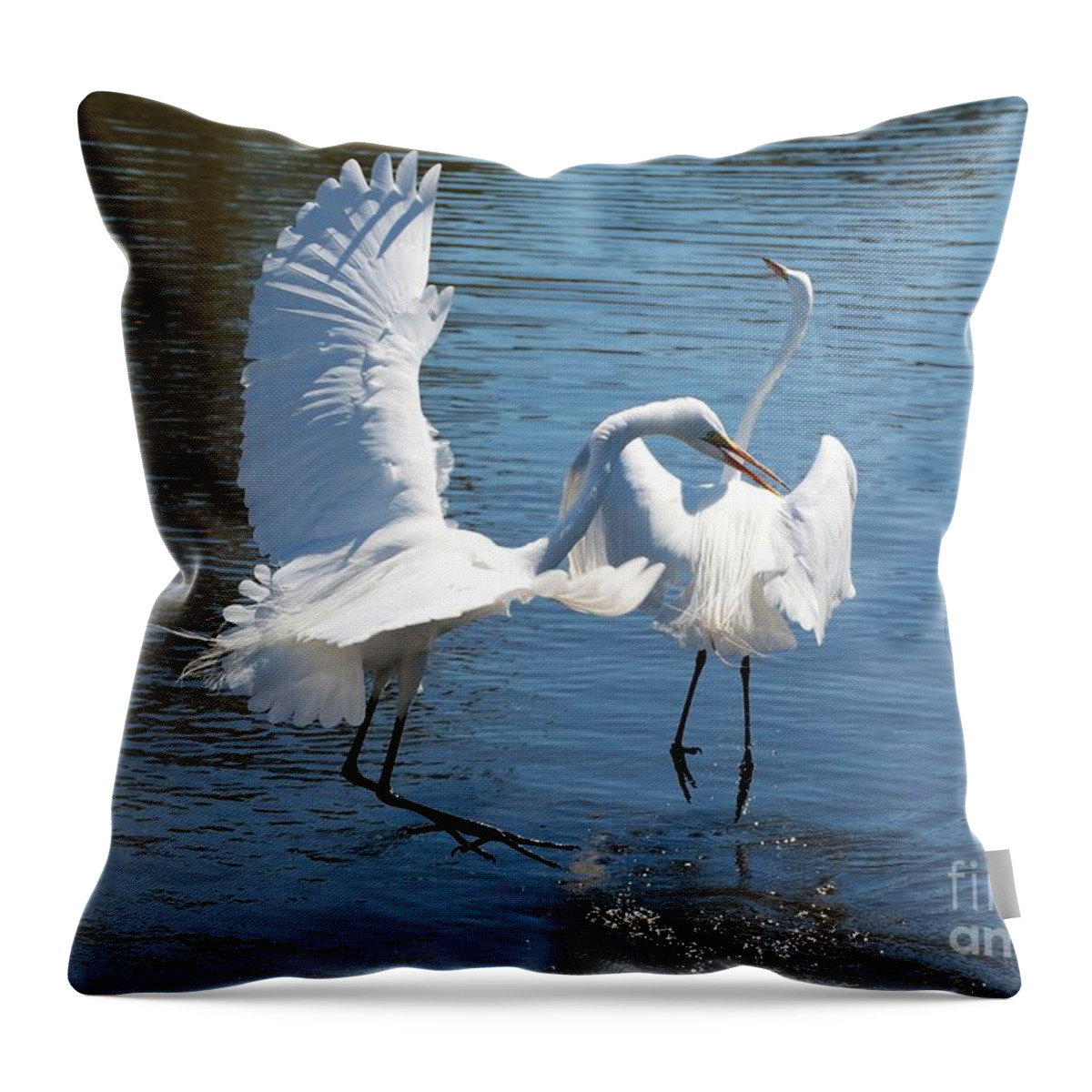 Egret Throw Pillow featuring the photograph Great Egret Escape #1 by Carol Groenen